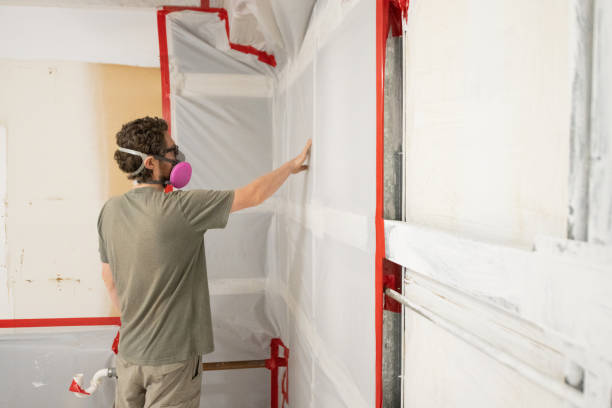 Best Mold-Related Health Consultation  in Roebuck, SC