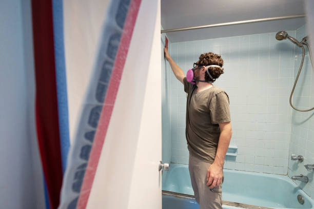 Best Comprehensive Air Testing for Mold Contaminants  in Roebuck, SC
