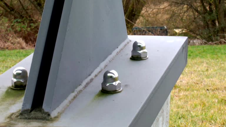 Best Mold Damage Restoration  in Roebuck, SC